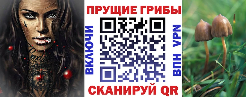 Псилоцибиновые грибы мухоморы дарнет шоп darknet Telegram Лянтор